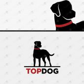 Premade Dog Logo For Sale Hunting Dog Logo
