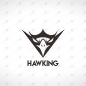 Premade Minimalist Hawk Logo For Sale